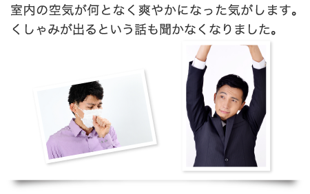 室内の空気が何となく爽やかになった気がします。くしゃみが出るという話も聞かなくなりました。